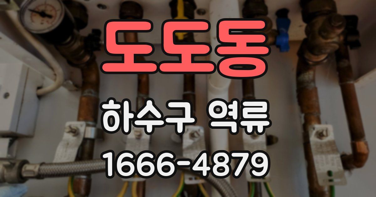 도도동 하수구 역류