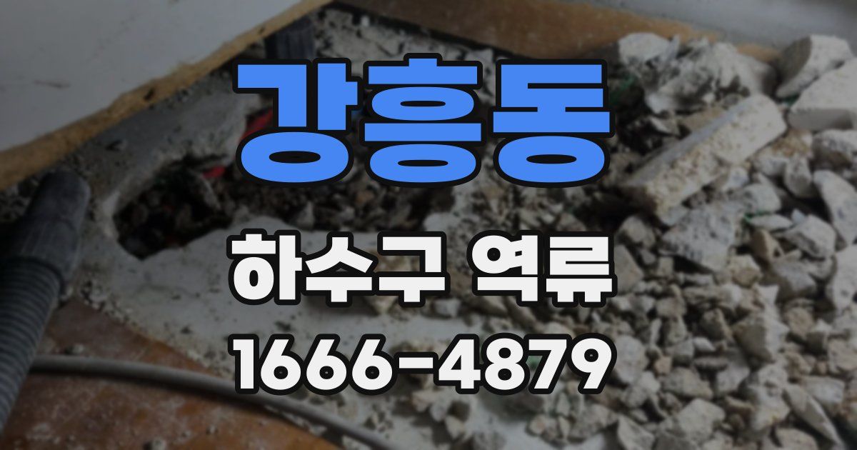 강흥동 하수구 역류