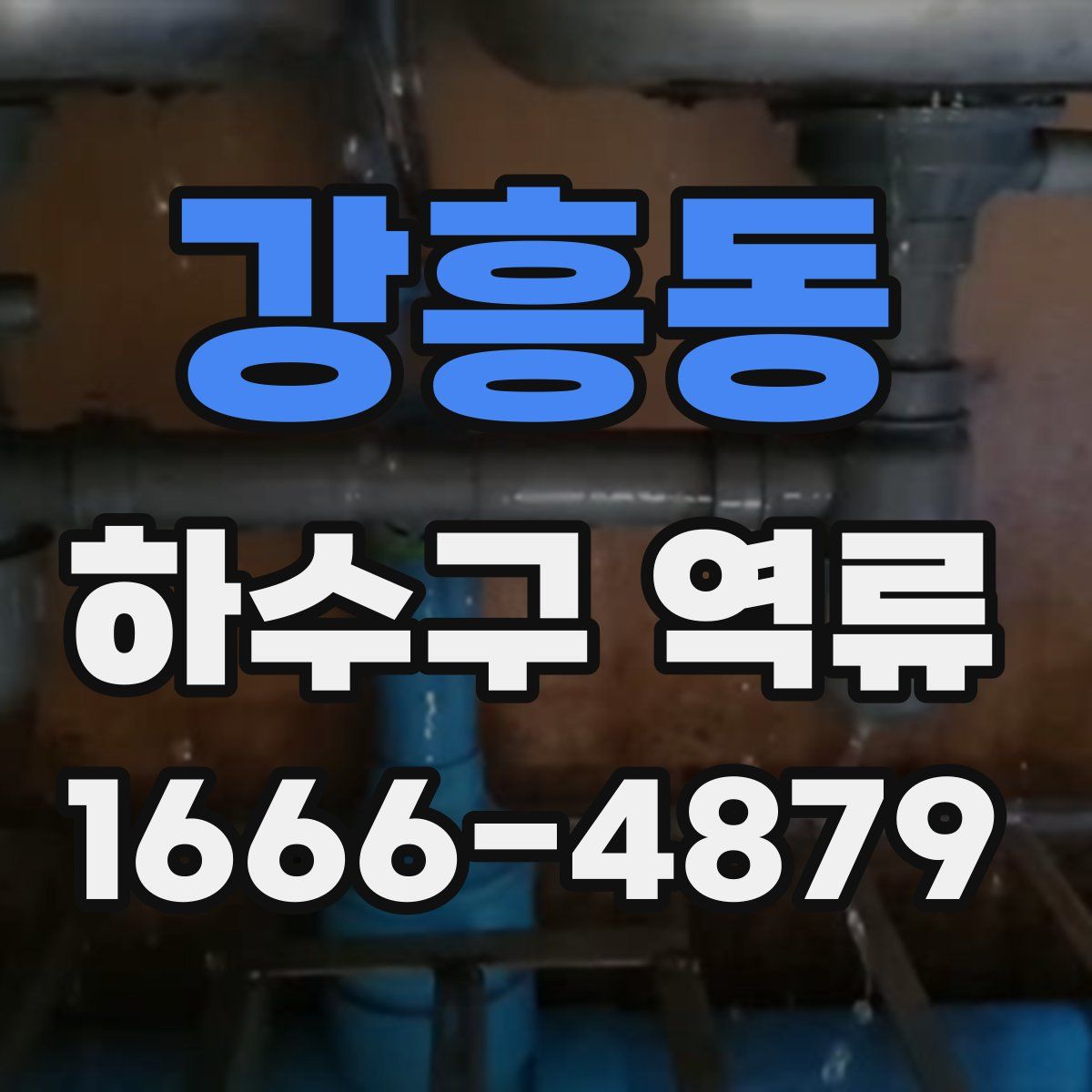 강흥동 하수구 역류