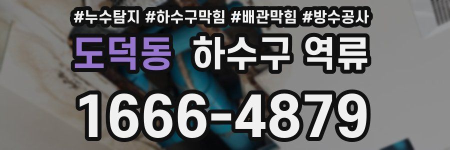 도덕동 하수구 역류