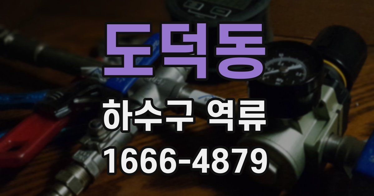 도덕동 하수구 역류