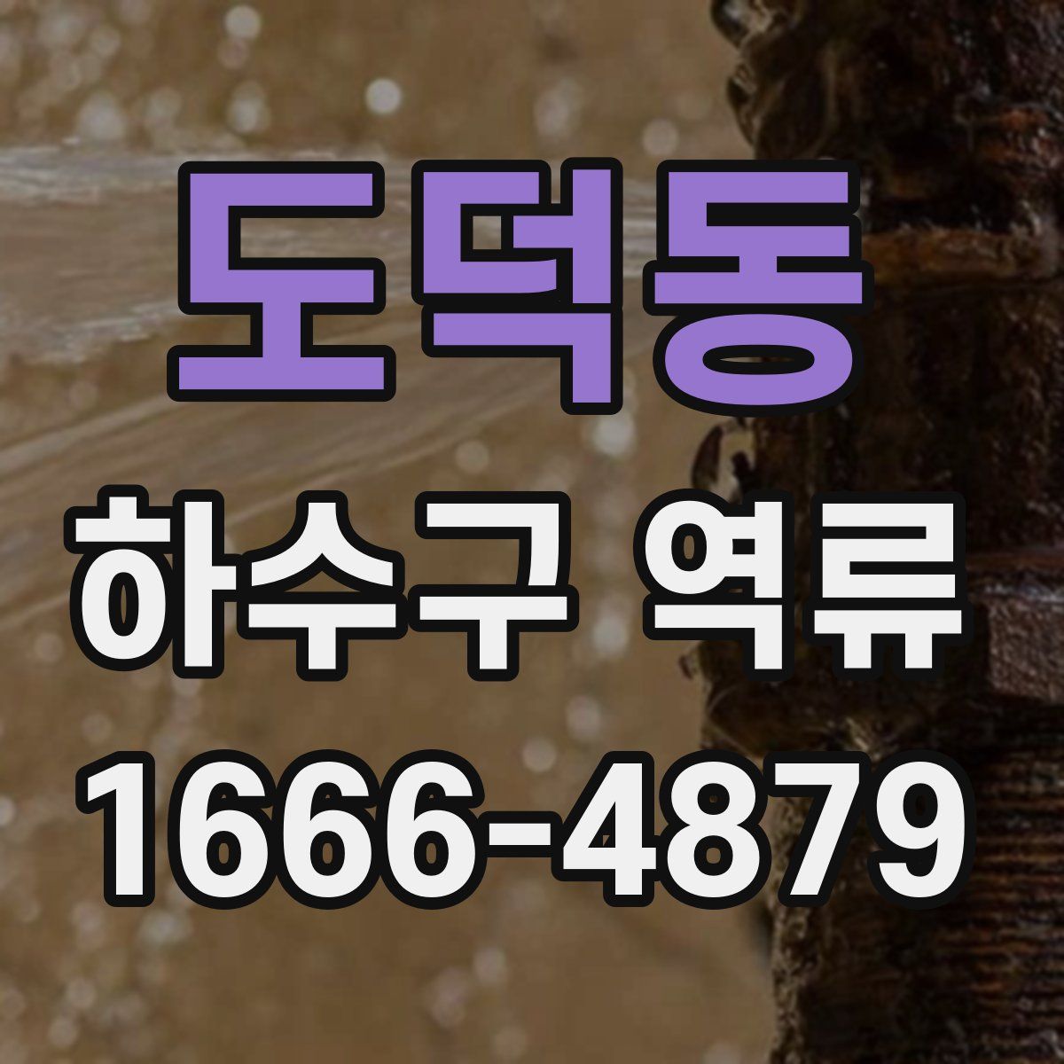 도덕동 하수구 역류
