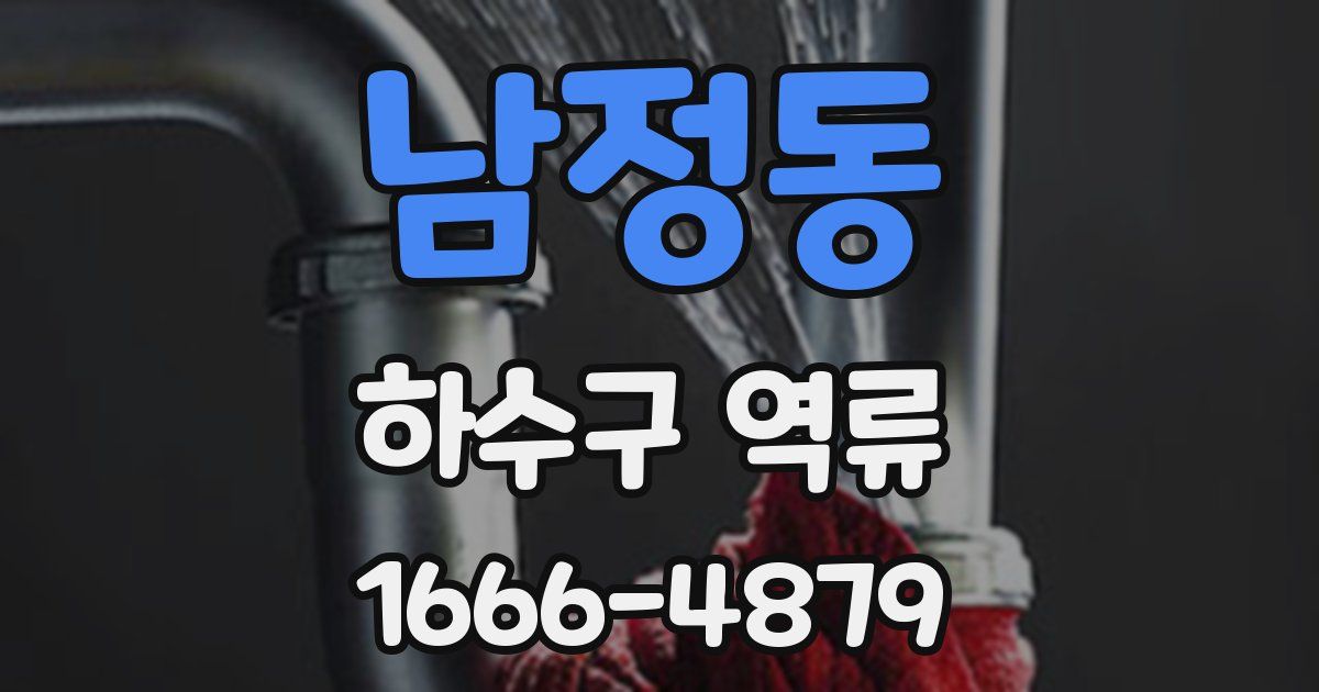 남정동 하수구 역류