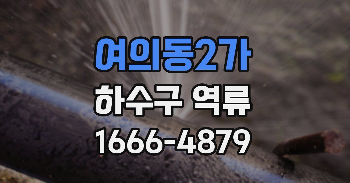 여의동2가 하수구 역류