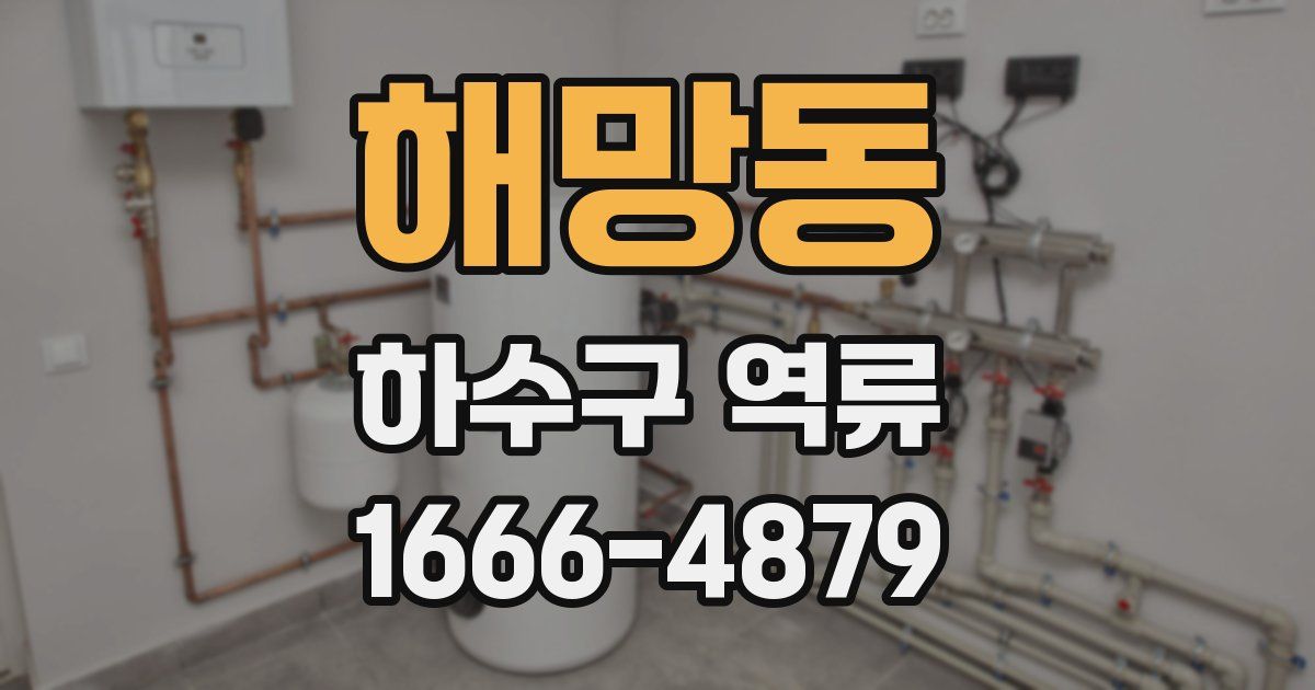 해망동 하수구 역류