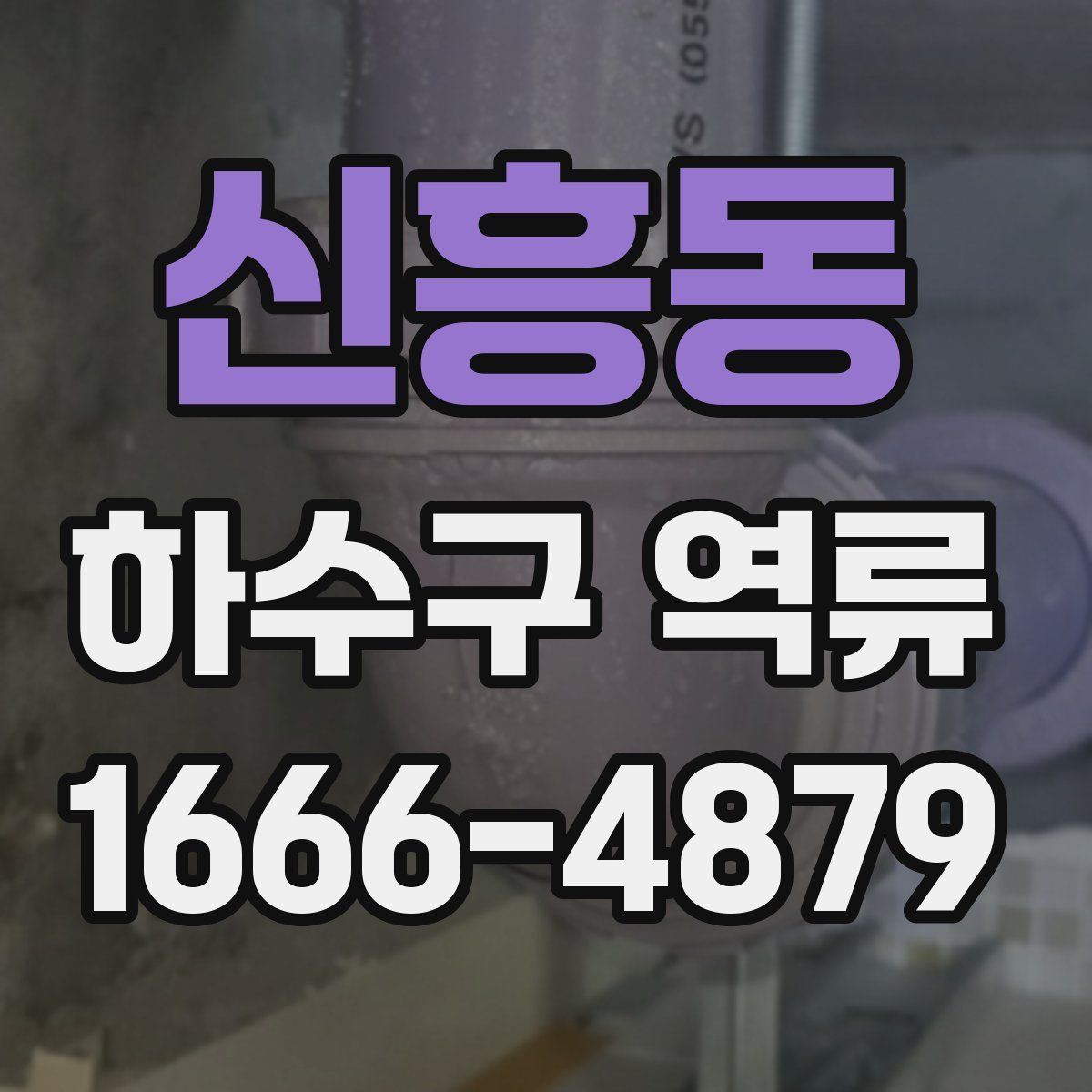신흥동 하수구 역류