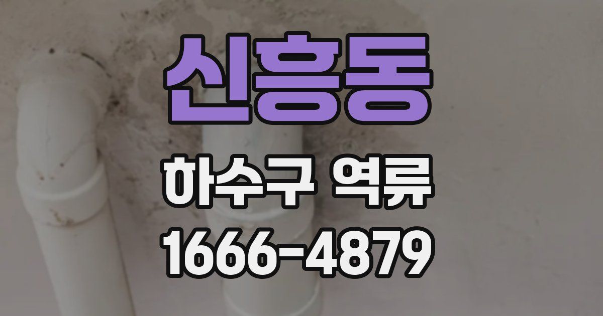 신흥동 하수구 역류