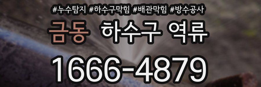 금동 하수구 역류