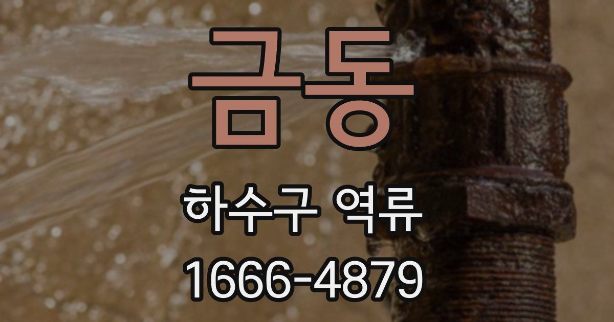 금동 하수구 역류