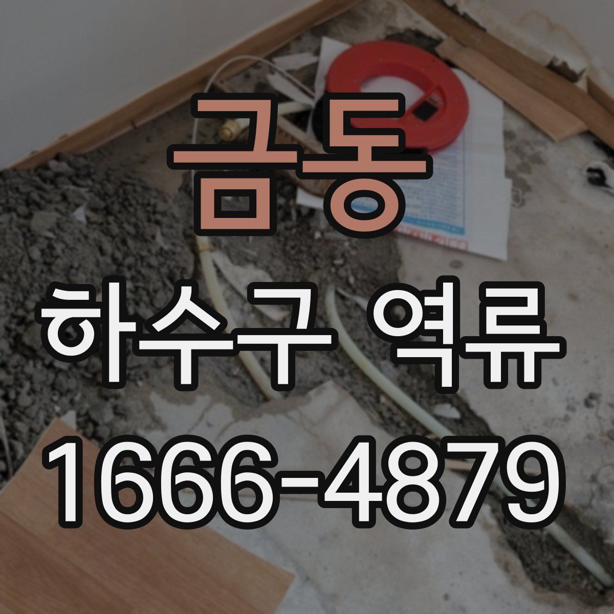 금동 하수구 역류
