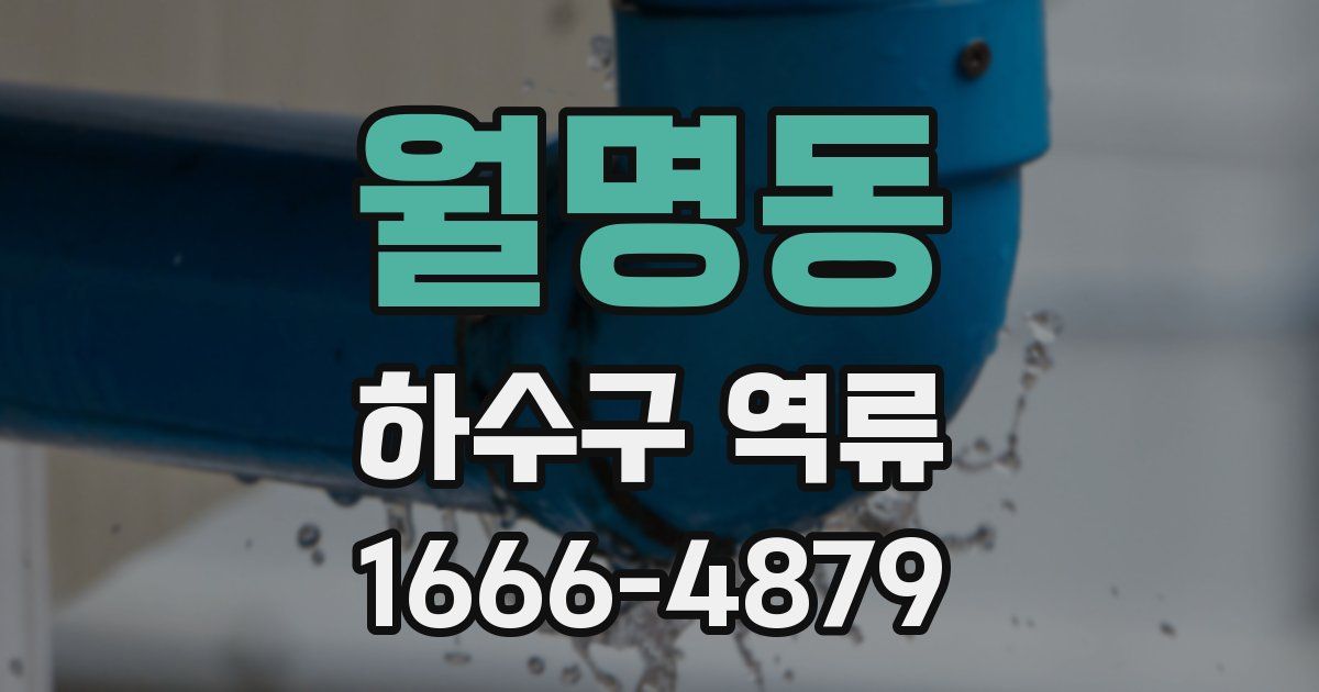 월명동 하수구 역류