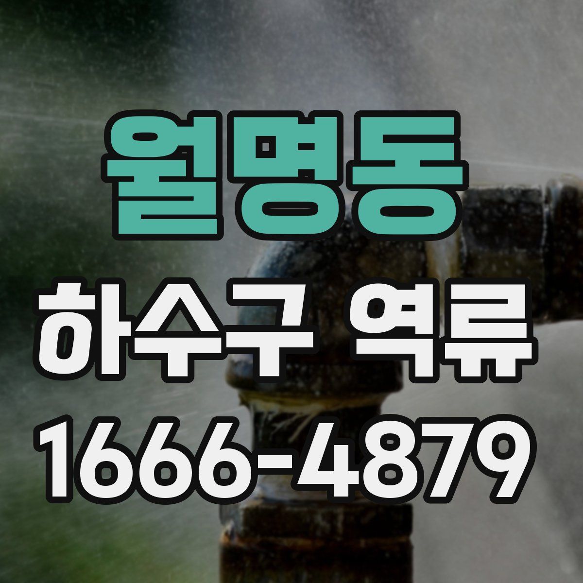 월명동 하수구 역류
