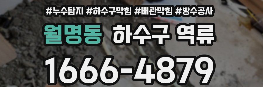 월명동 하수구 역류