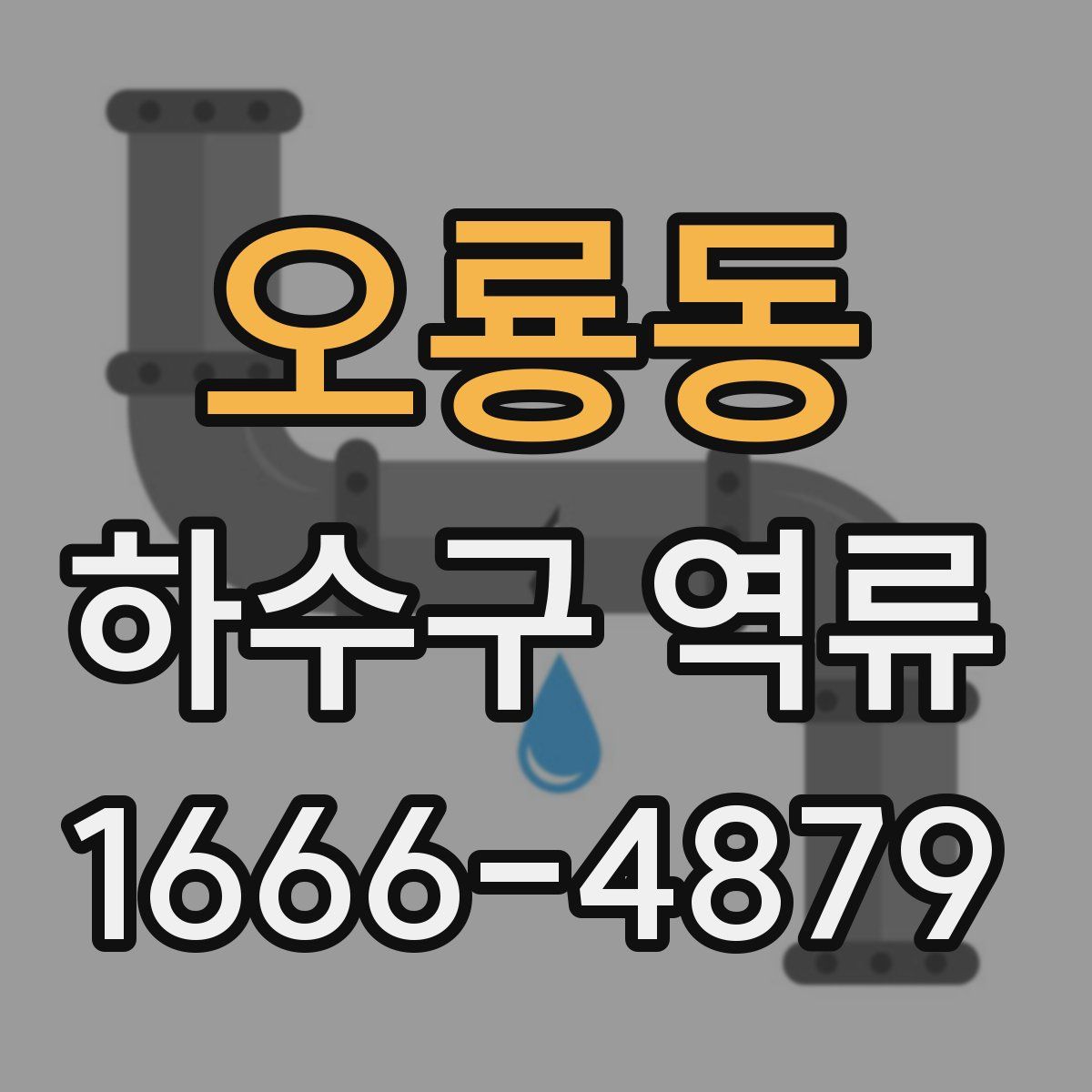 오룡동 하수구 역류