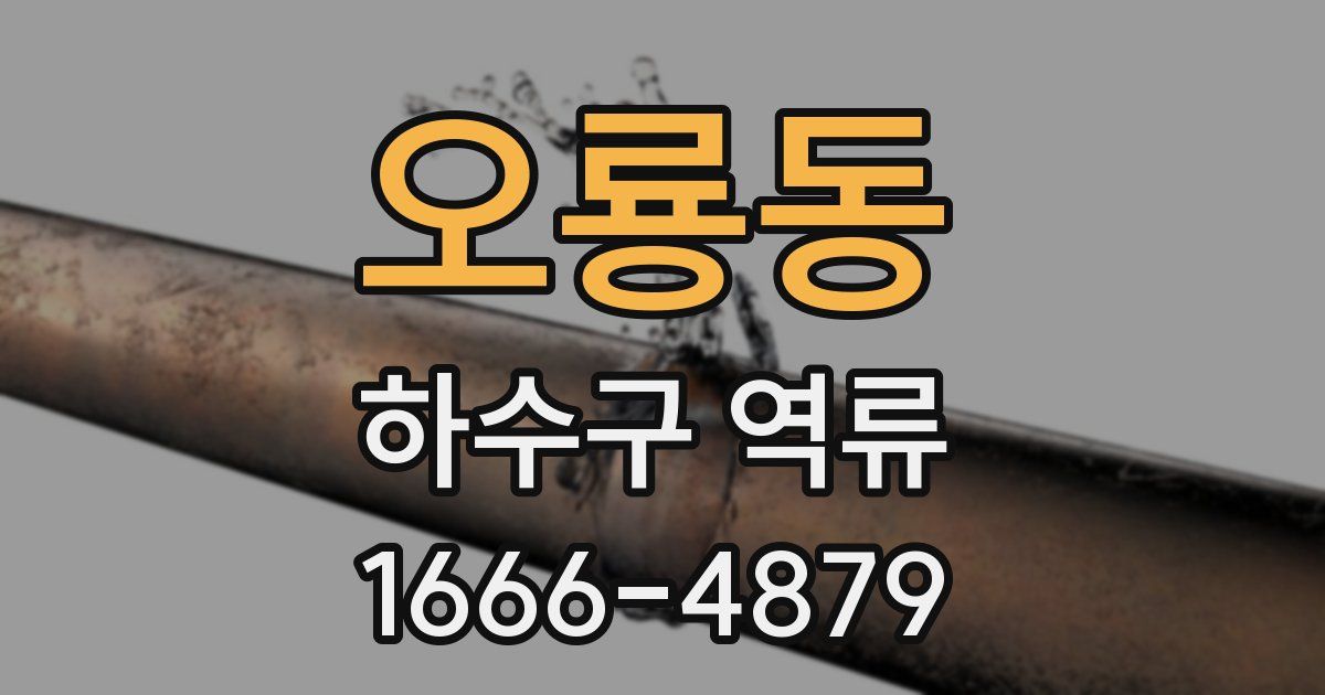 오룡동 하수구 역류