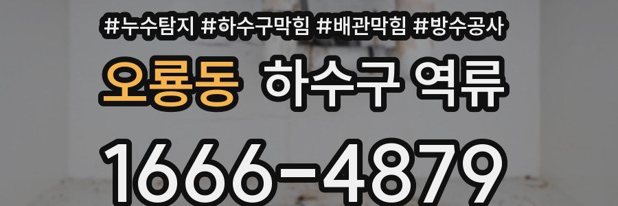 오룡동 하수구 역류