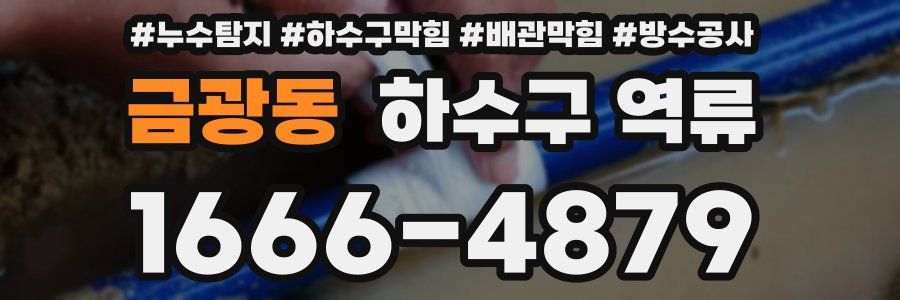 금광동 하수구 역류