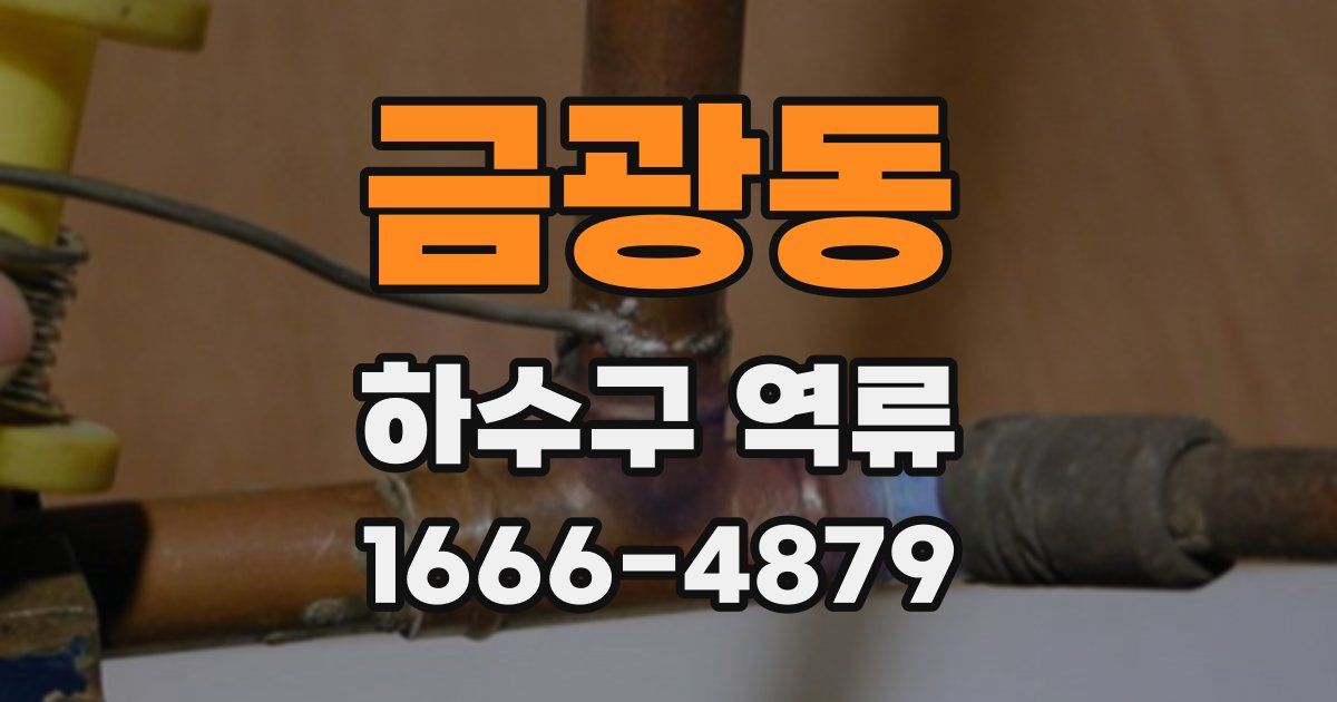 금광동 하수구 역류
