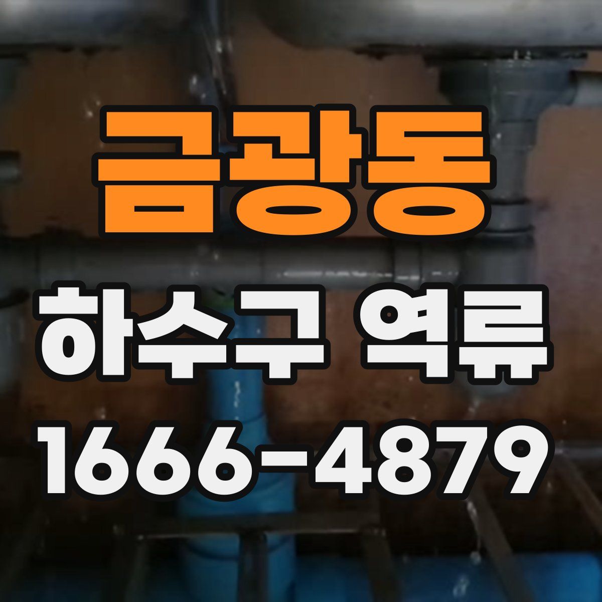 금광동 하수구 역류