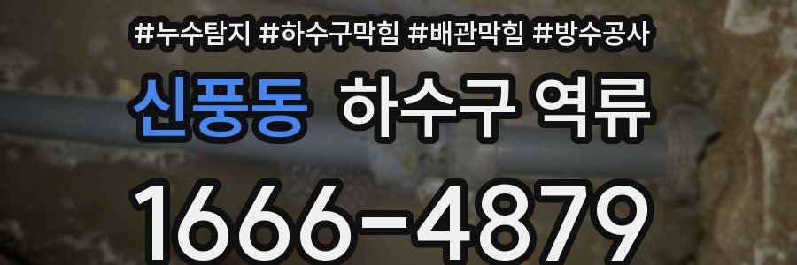 신풍동 하수구 역류