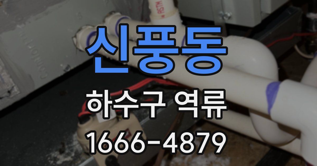 신풍동 하수구 역류