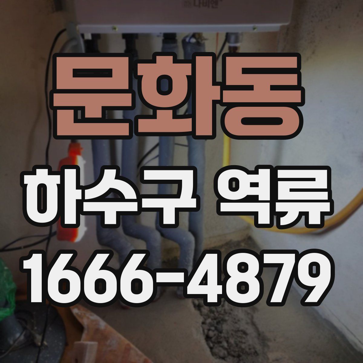 문화동 하수구 역류