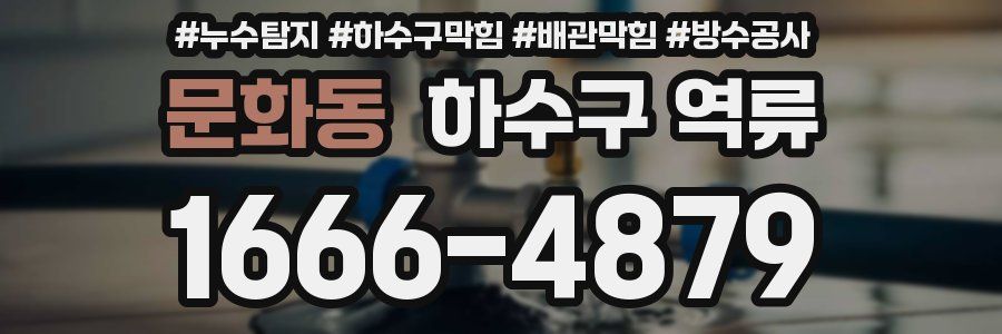문화동 하수구 역류
