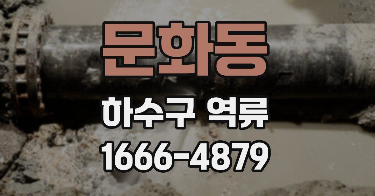 문화동 하수구 역류