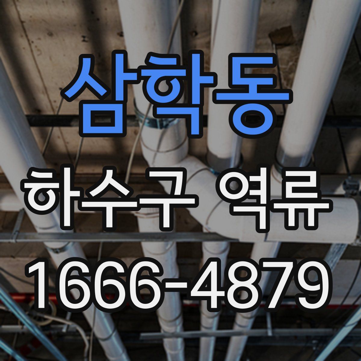삼학동 하수구 역류