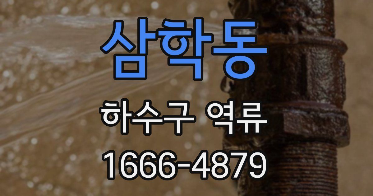 삼학동 하수구 역류