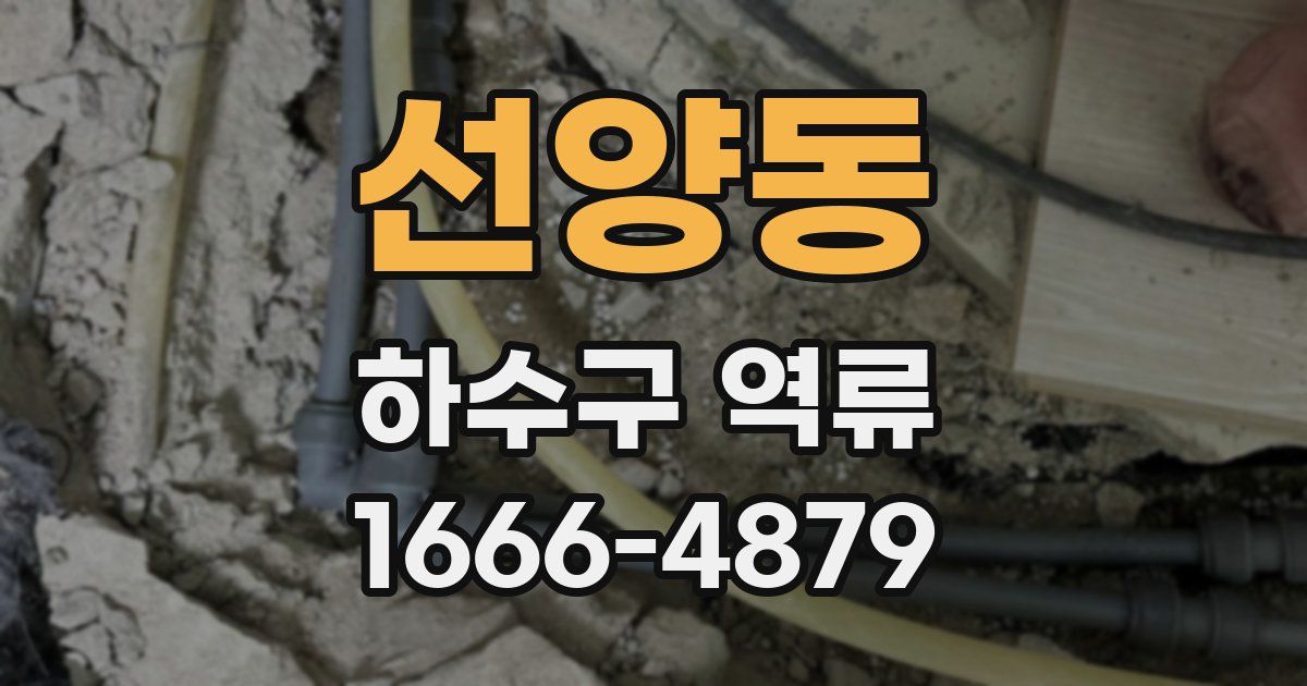 선양동 하수구 역류