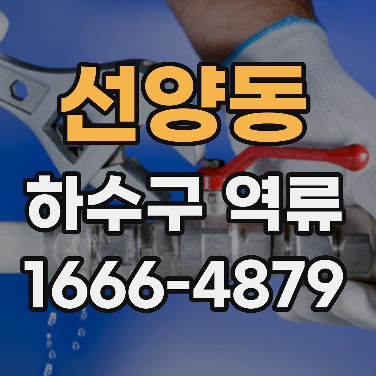 선양동 하수구 역류