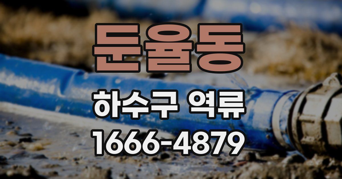 둔율동 하수구 역류