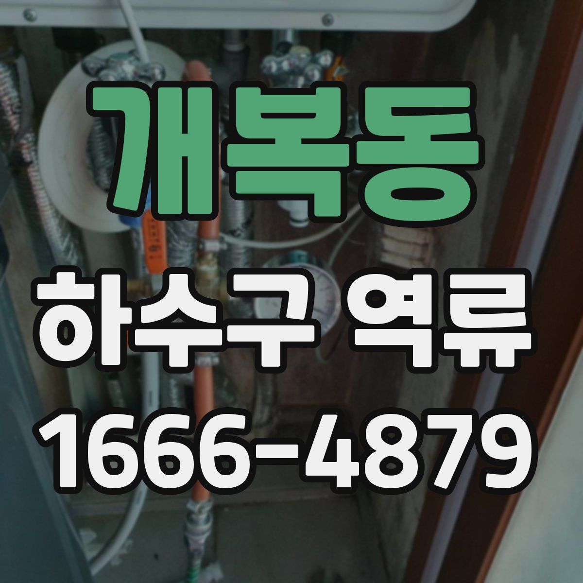 개복동 하수구 역류
