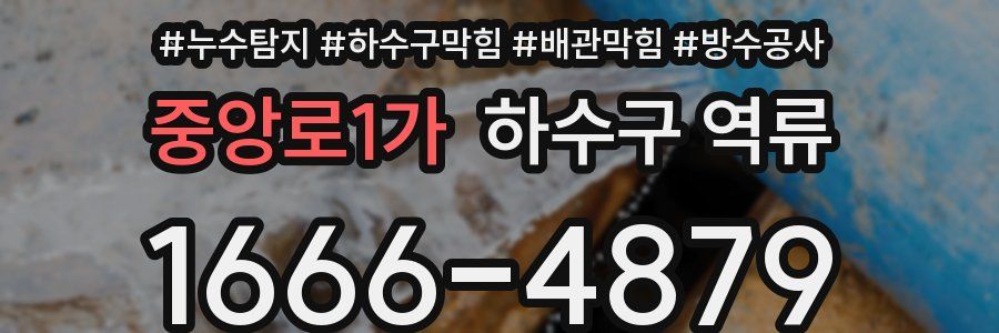 중앙로1가 하수구 역류