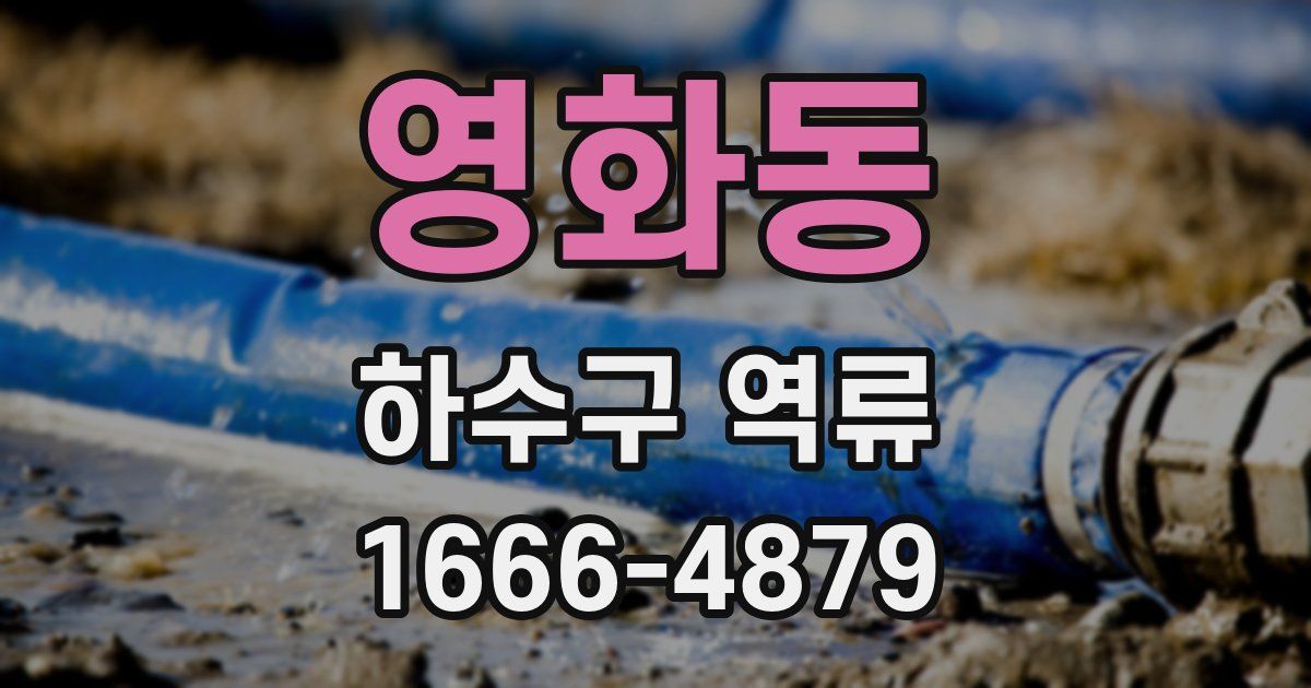 영화동 하수구 역류