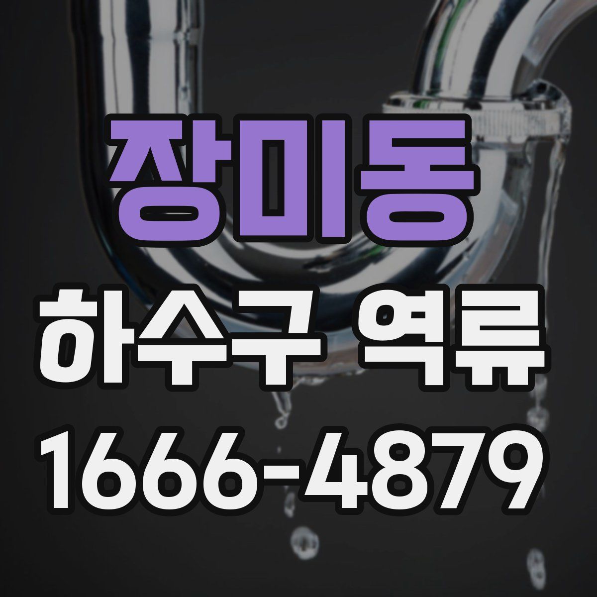 장미동 하수구 역류