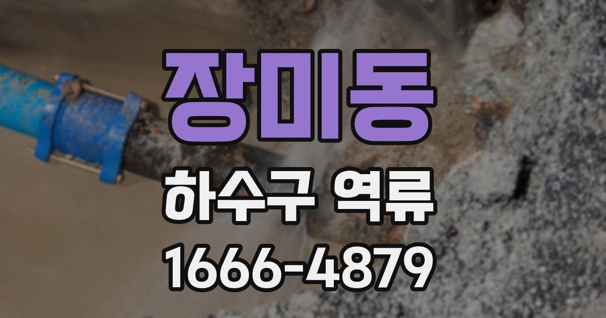 장미동 하수구 역류