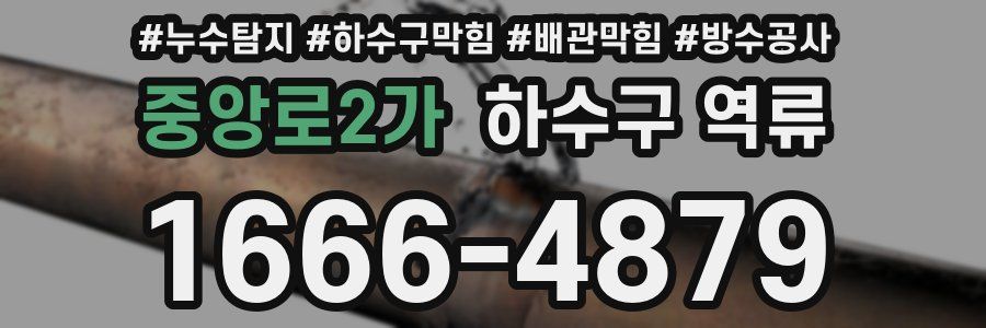 중앙로2가 하수구 역류