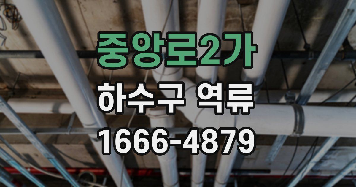 중앙로2가 하수구 역류