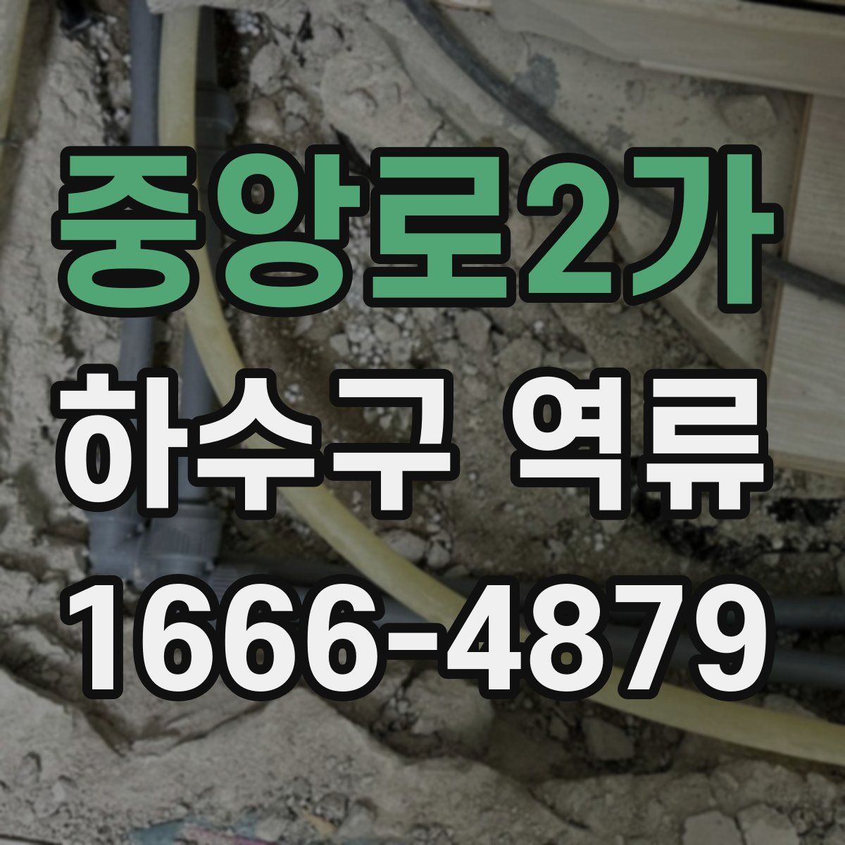 중앙로2가 하수구 역류