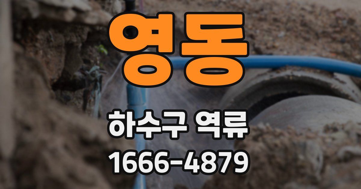 영동 하수구 역류