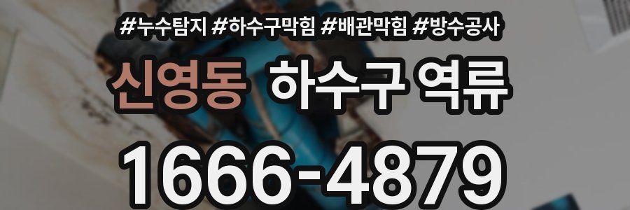 신영동 하수구 역류