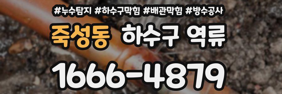 죽성동 하수구 역류