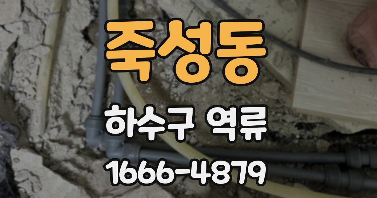 죽성동 하수구 역류
