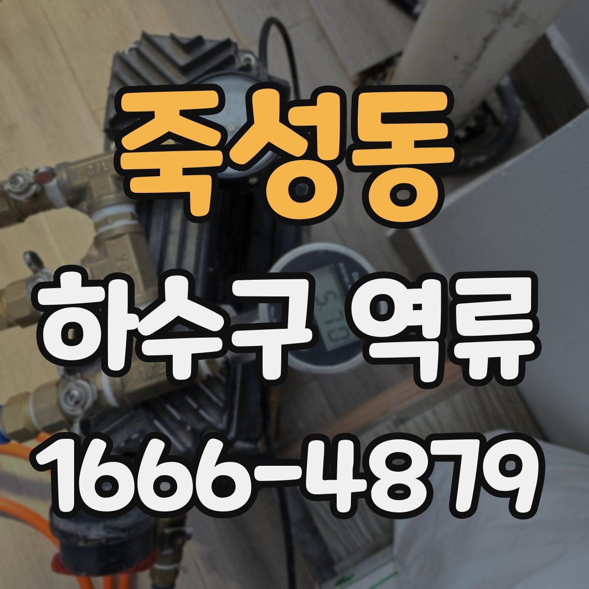 죽성동 하수구 역류