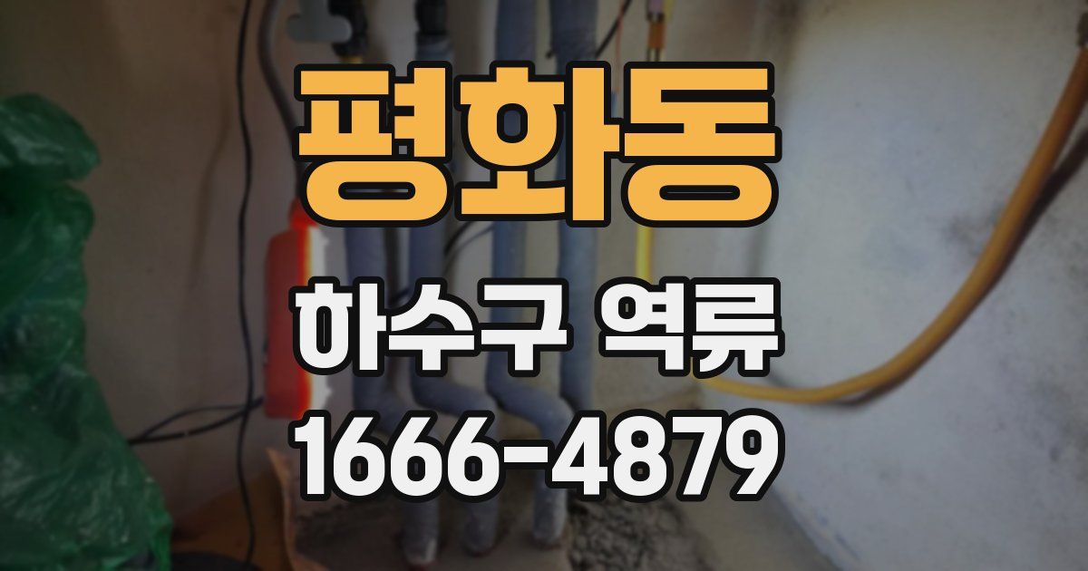 평화동 하수구 역류