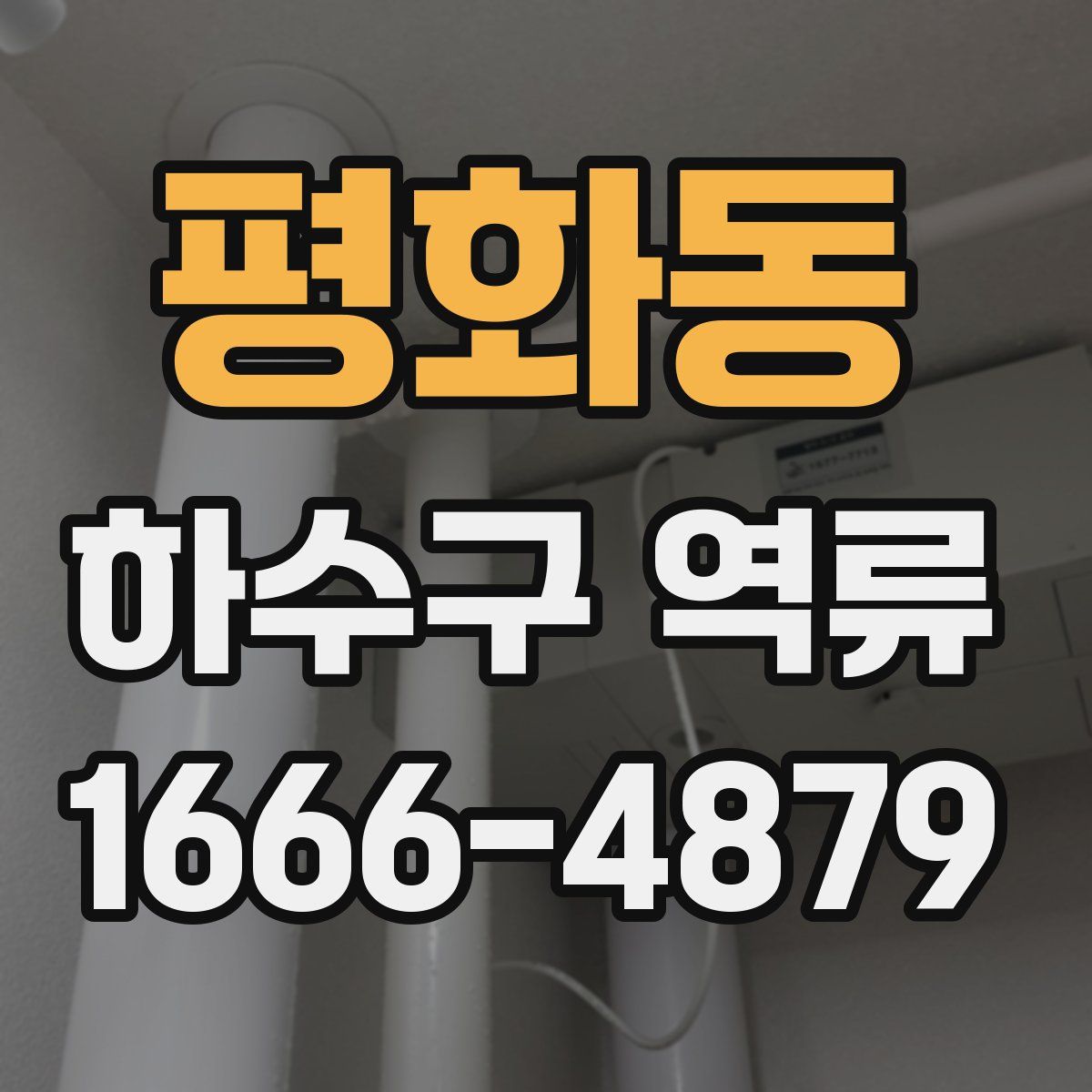 평화동 하수구 역류