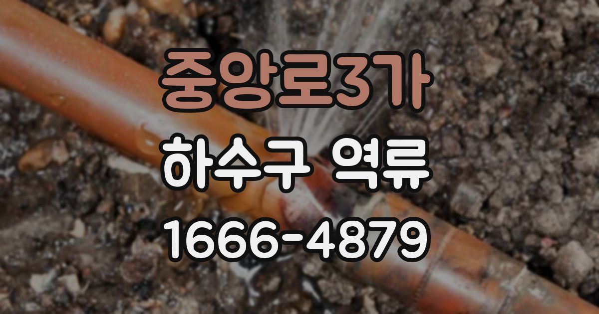 중앙로3가 하수구 역류