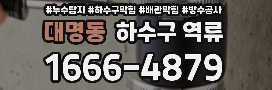 대명동 하수구 역류